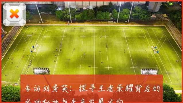 专访刘秀英：探寻王者荣耀背后的成功秘诀与未来发展方向