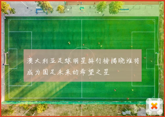 澳大利亚足球明星排行榜揭晓谁将成为国足未来的希望之星