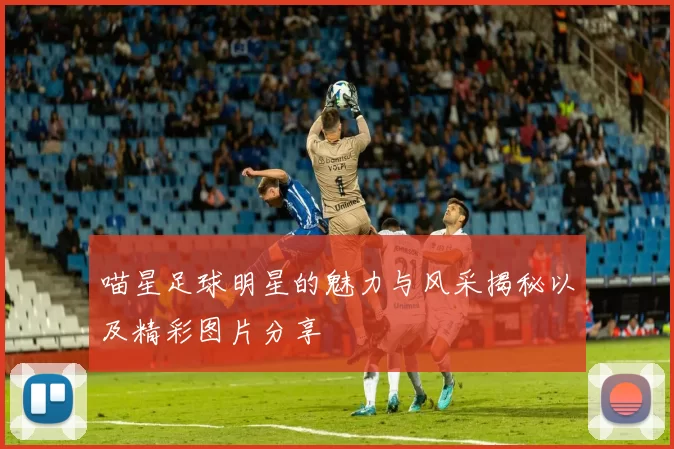 喵星足球明星的魅力与风采揭秘以及精彩图片分享