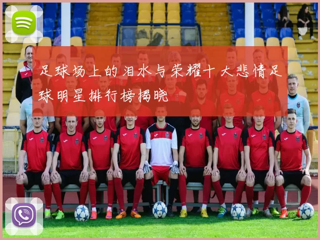 足球场上的泪水与荣耀十大悲情足球明星排行榜揭晓