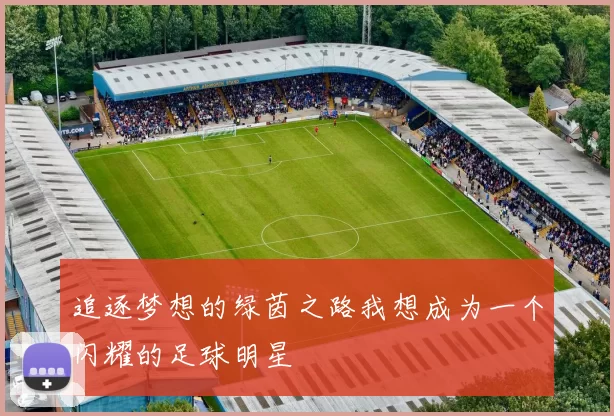 追逐梦想的绿茵之路我想成为一个闪耀的足球明星