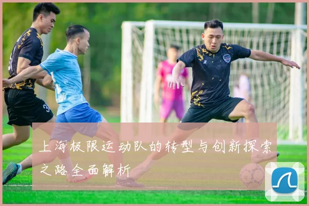 上海极限运动队的转型与创新探索之路全面解析