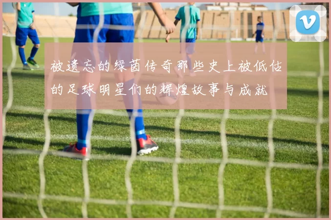 被遗忘的绿茵传奇那些史上被低估的足球明星们的辉煌故事与成就